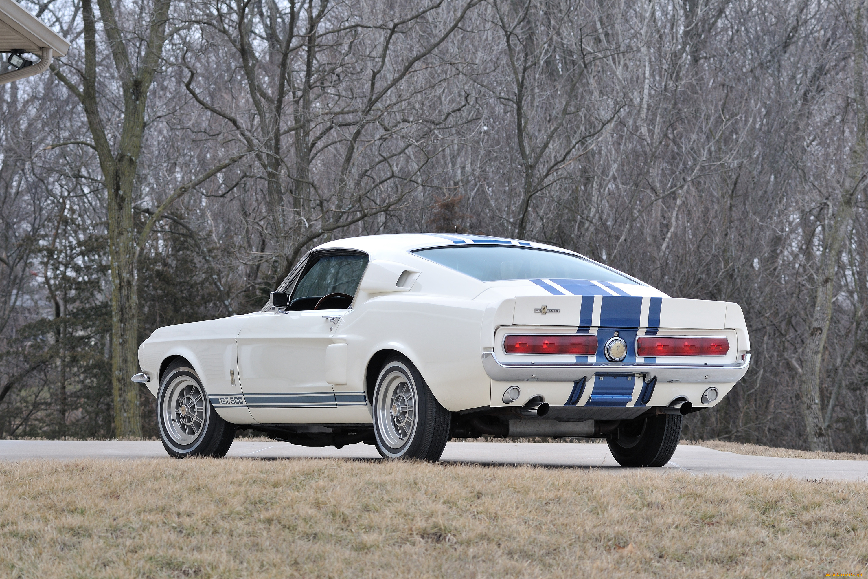 , mustang, gt, white